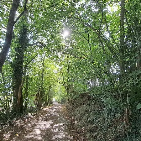 Diognysos B&b, Wellness & Boutique Frühstückspension Crans-Montana